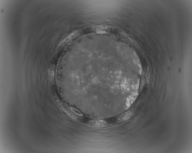 X0000086080427200704091306