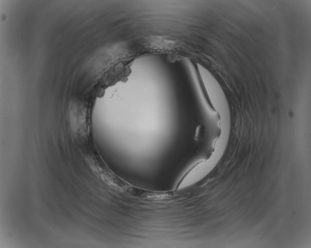 X0000086080428200704091306