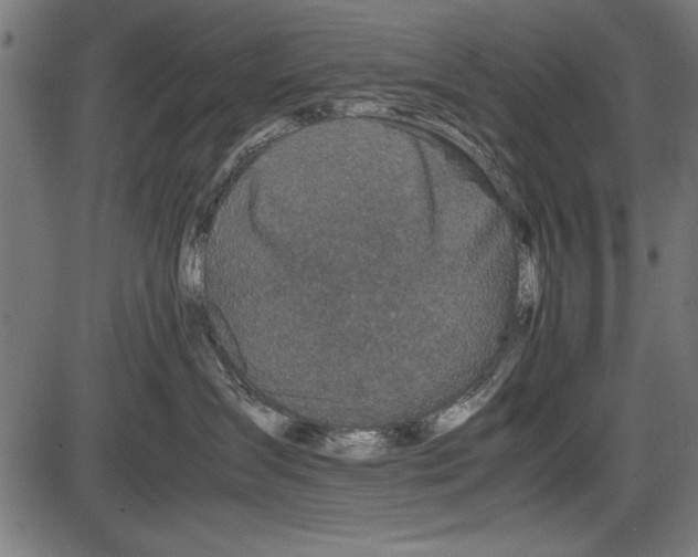 X0000086080431200704091306