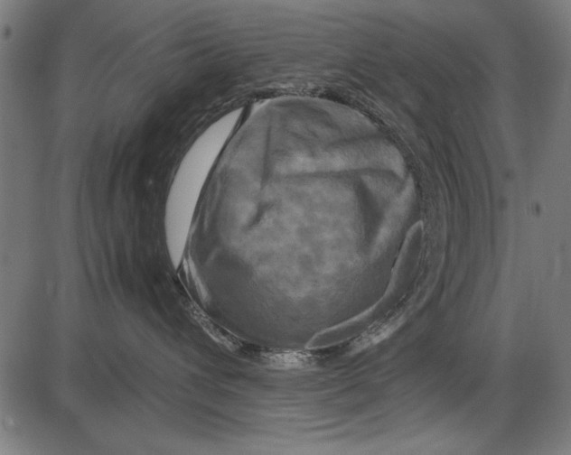 X0000086080432200704091306