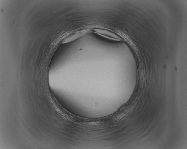 X0000086080433200704091305