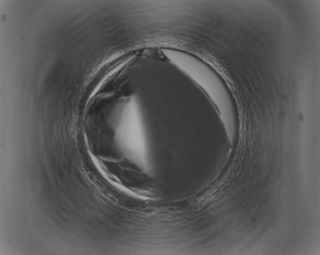 X0000086080434200704091305