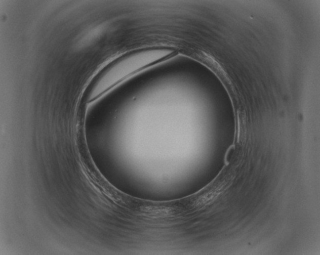 X0000086080435200704091305