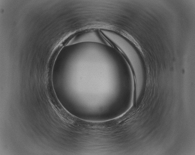 X0000086080436200704091305