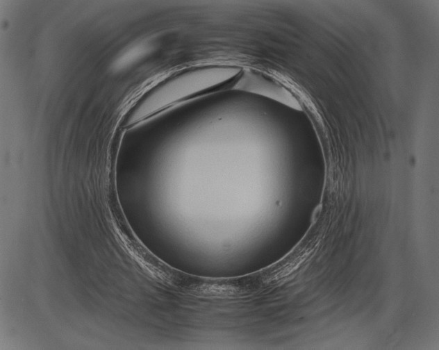 X0000086080437200704091305