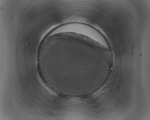 X0000086080438200704091305