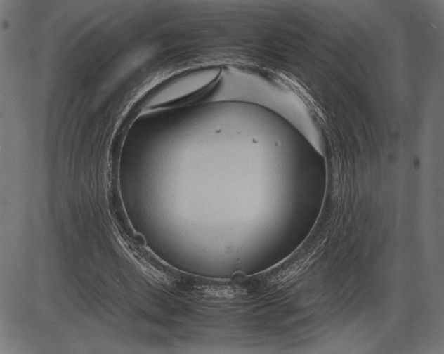 X0000086080439200704091305