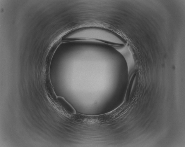 X0000086080440200704091305