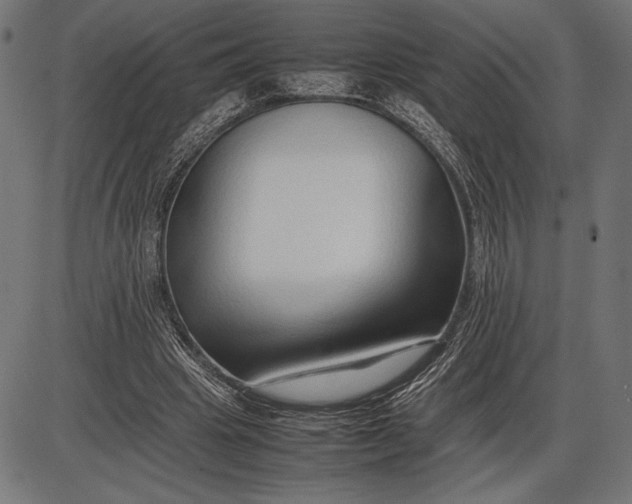 X0000086080441200704091305