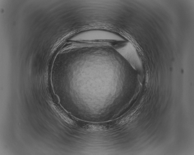 X0000086080442200704091305