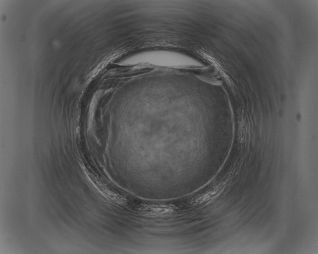 X0000086080443200704091305