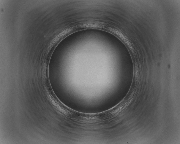 X0000086080445200704091305