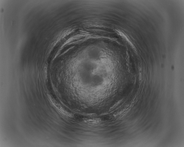 X0000086080447200704091305