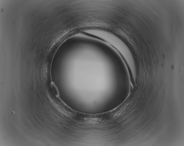 X0000086080448200704091305