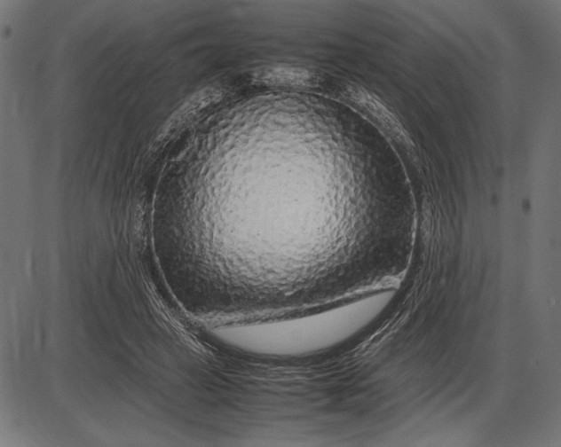 X0000086080449200704091305