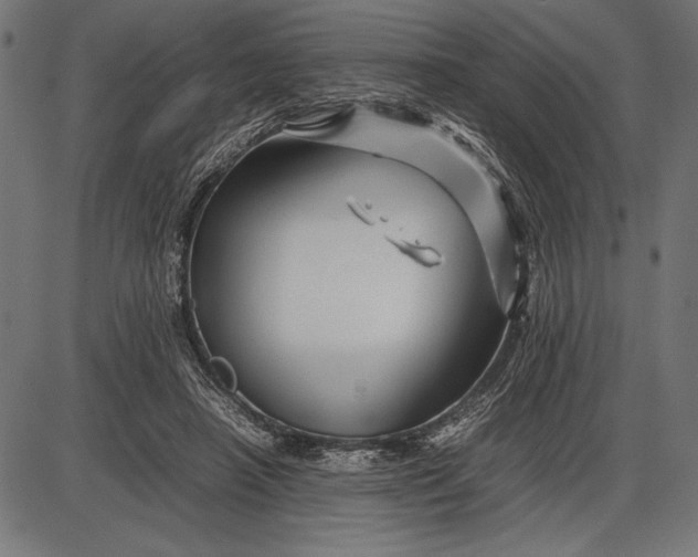 X0000086080450200704091305