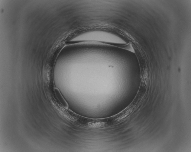 X0000086080452200704091305