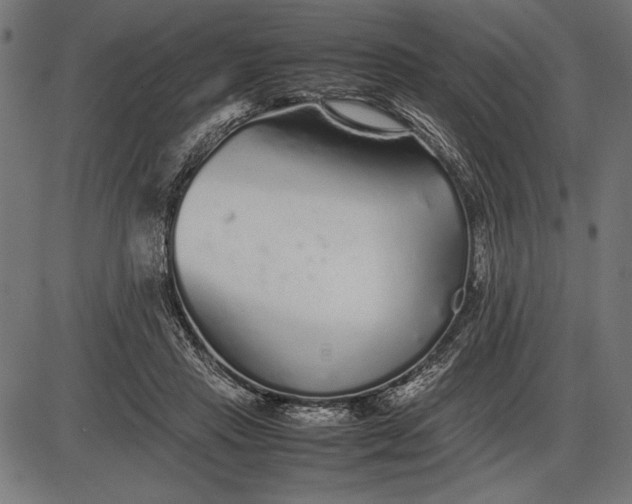 X0000086080453200704091305