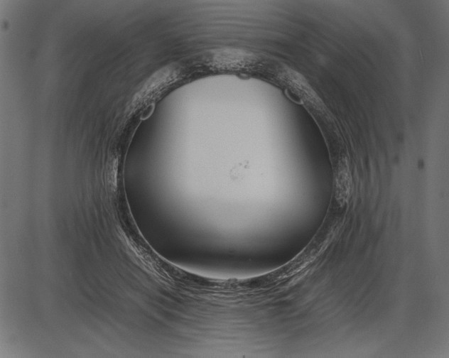 X0000086080454200704091305