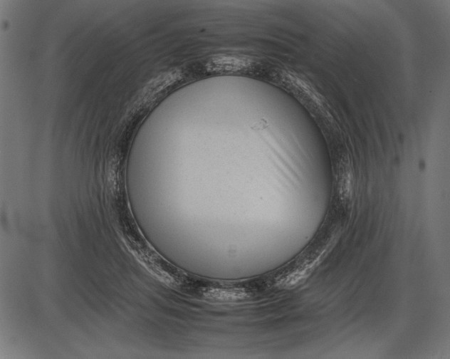 X0000086080455200704091305