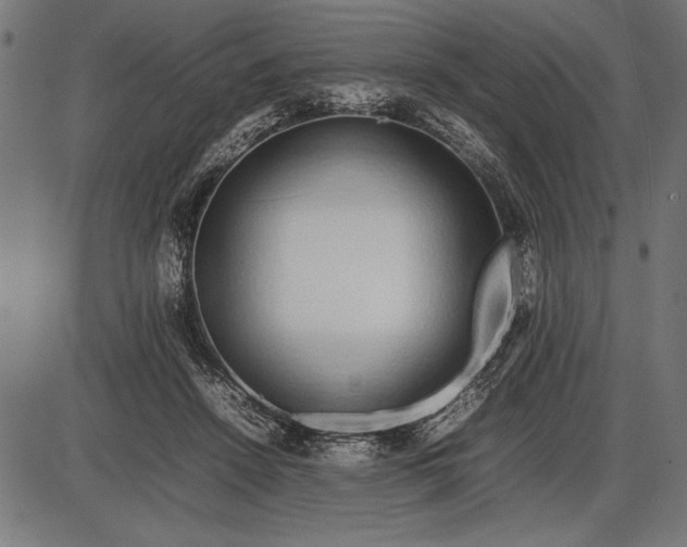 X0000086080456200704091305