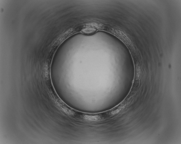 X0000086080457200704091305