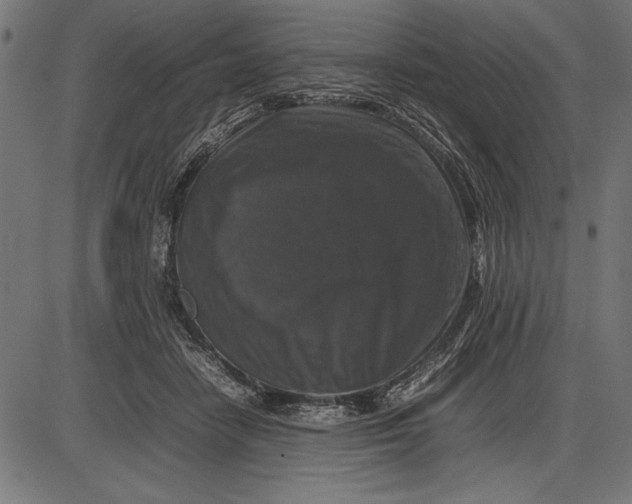 X0000086080458200704091305