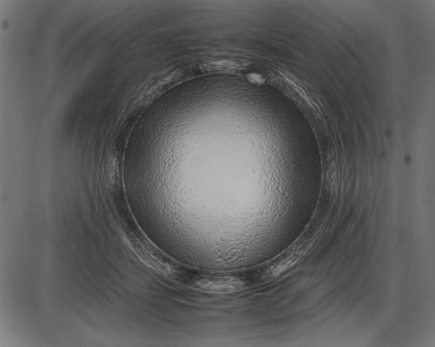 X0000086080459200704091305