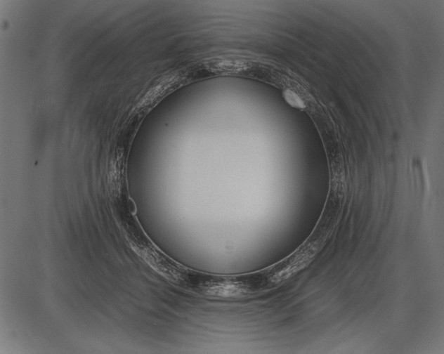 X0000086080460200704091305