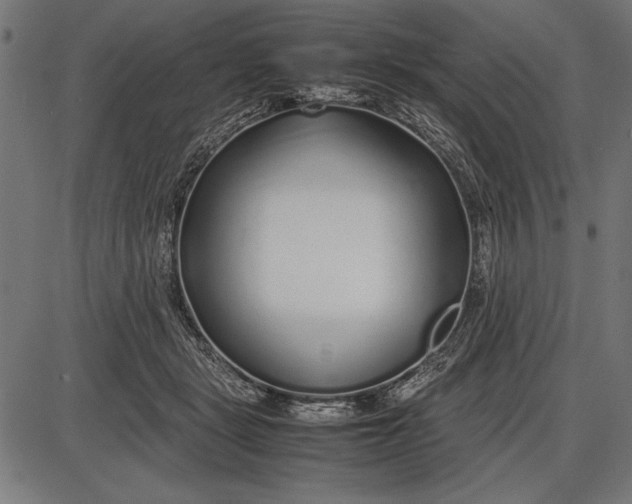 X0000086080461200704091305