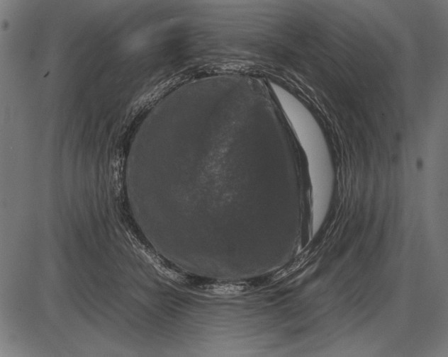 X0000086080462200704091305