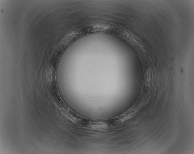 X0000086080463200704091305