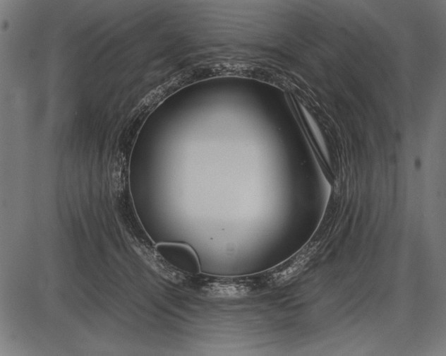 X0000086080464200704091305