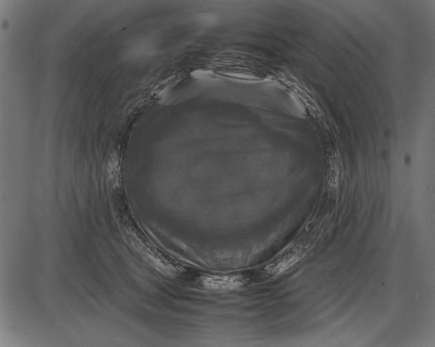 X0000086080465200704091305