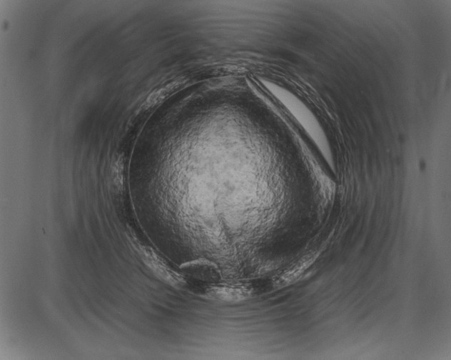 X0000086080466200704091305