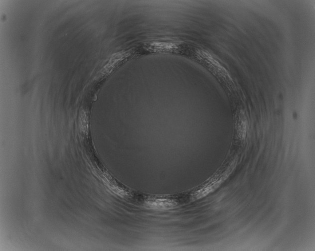 X0000086080467200704091305