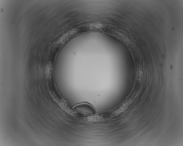 X0000086080468200704091305