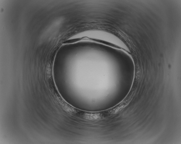 X0000086080469200704091305