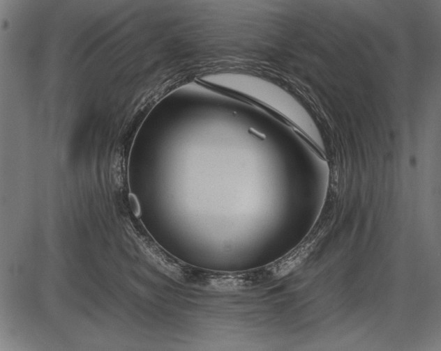 X0000086080470200704091305