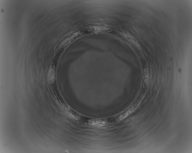 X0000086080471200704091305