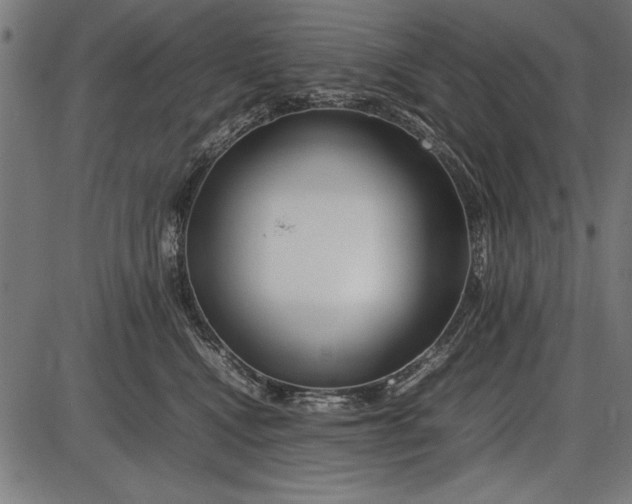 X0000086080472200704091305