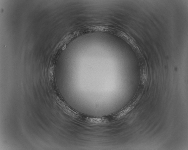 X0000086080473200704091305