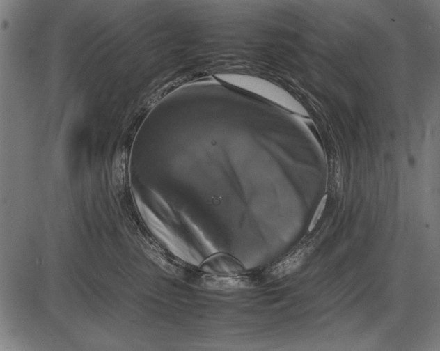 X0000086080475200704091306