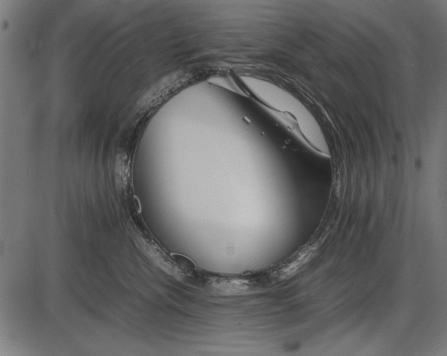 X0000086080476200704091306