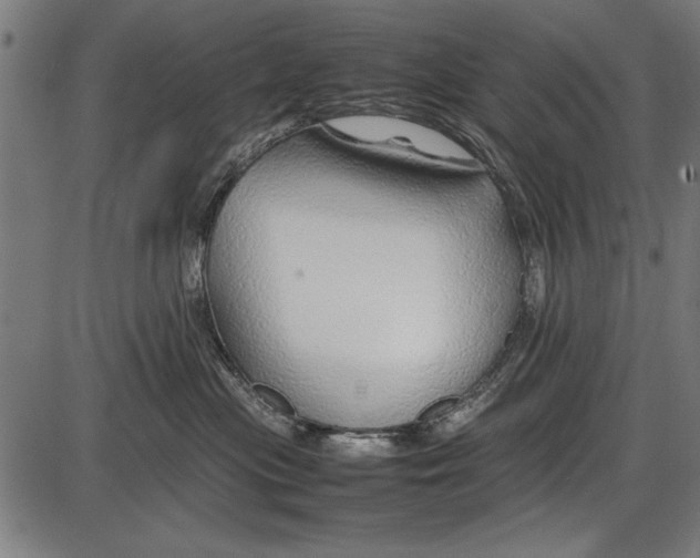 X0000086080477200704091306