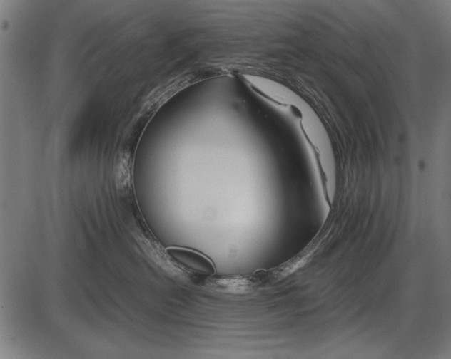 X0000086080478200704091306