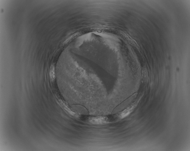 X0000086080479200704091306