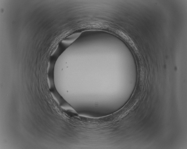 X0000086080481200704091305