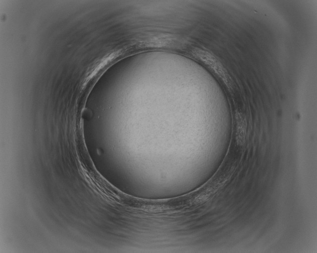 X0000086080482200704091305