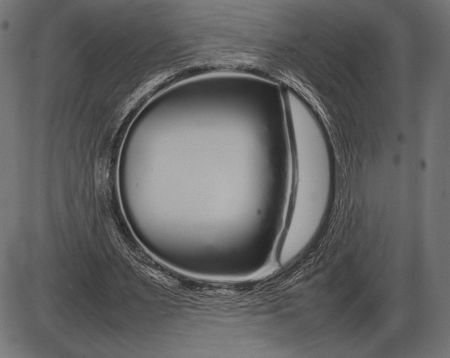 X0000086080483200704091305